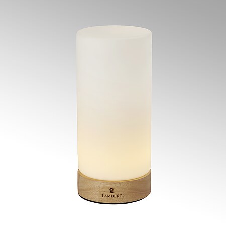 Bild 1 - Lambert LED Leuchte Magicee